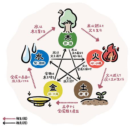 五行 健康|「陰陽五行」とは？漢方の基礎知識 